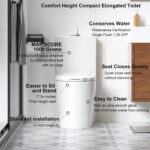 SRB001 12 inch floor-mounted 1-piece 1.1/1.6 GPF Dual Flush Elongated Toilet,Seat Included