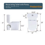 BW 12 in. Floor Mounted 2-Piece 1.1/1.6GPF Dual Flush Elongated Toilet in White, Seat Included,for Basement