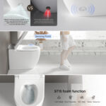W37 Bidet Toilet 1.0/1.27 GPF in White+gray with Auto Open/Close lid,temperature heating seat