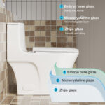 SRB002 12 inch floor-mounted 1-piece 1.1/1.6 GPF Dual Flush Elongated Toilet,Seat Included